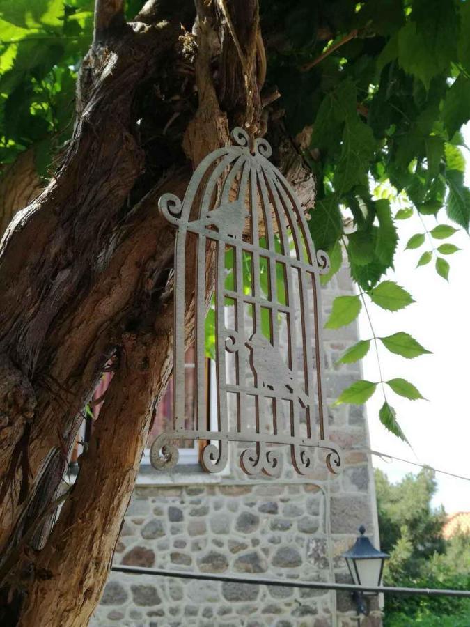 Μαχη Ενοικιαζόμενα Δωμάτια 미팀나 외부 사진