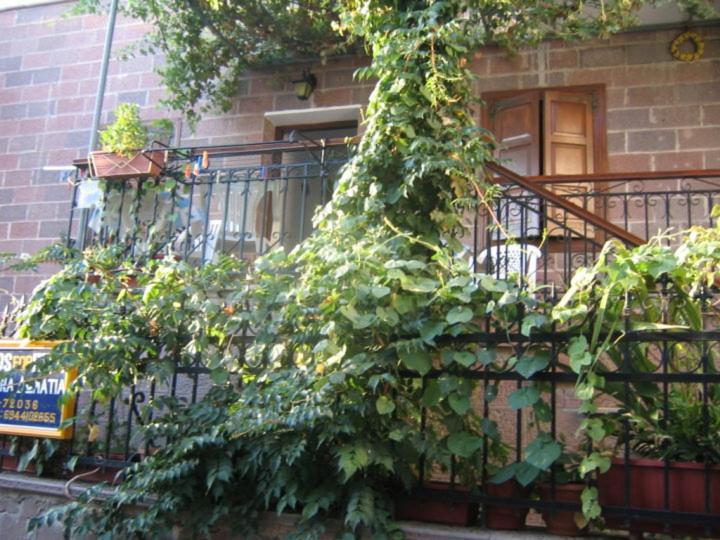 Μαχη Ενοικιαζόμενα Δωμάτια 미팀나 외부 사진